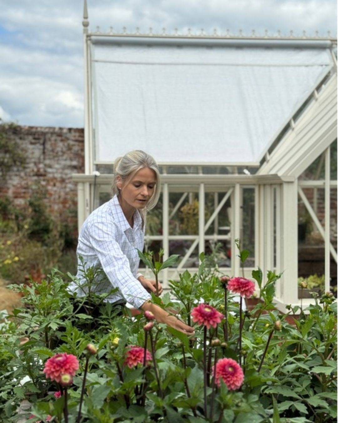 Michelle Jenkins Blog 3